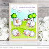 In Awe of Ewe