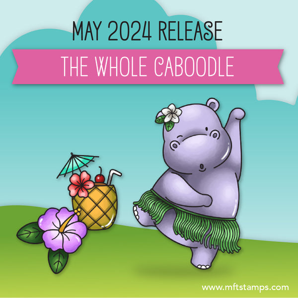 May 2024 Release: The Whole Caboodle